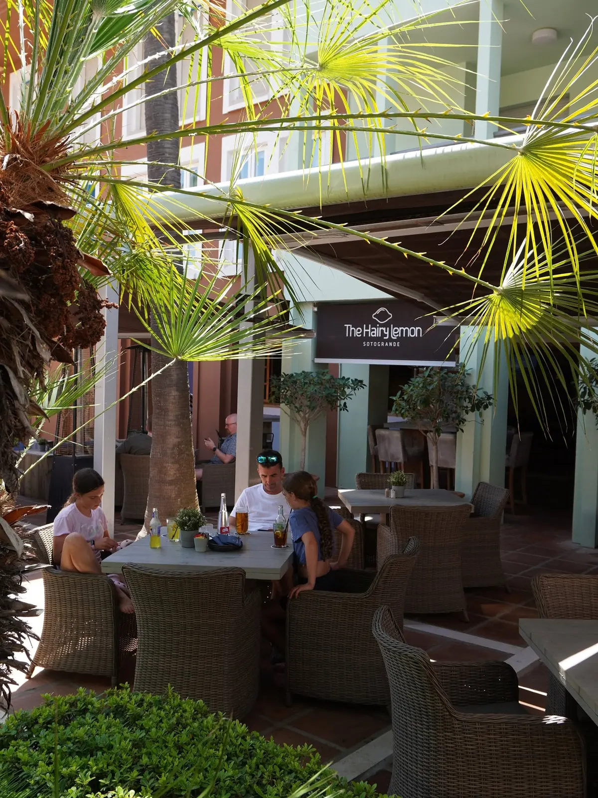 Guests seated on the terrace among the palms