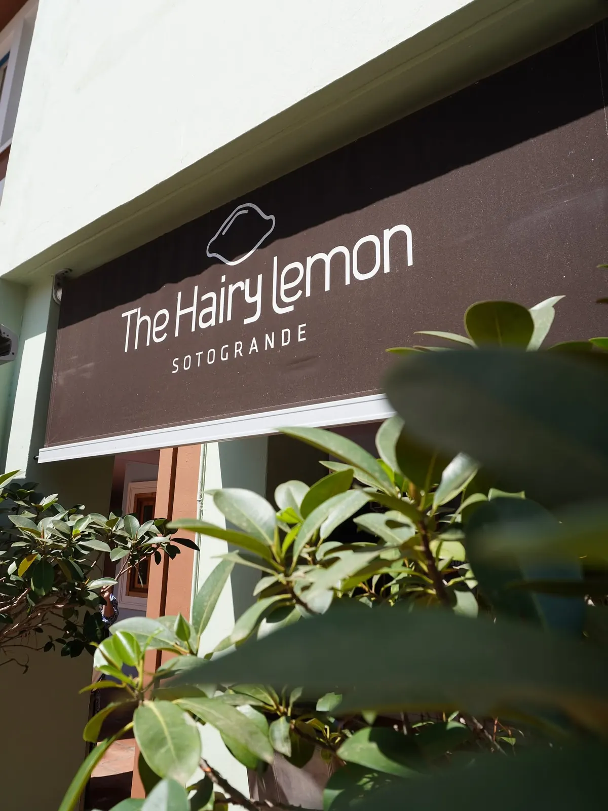 The Hairy Lemon sign above the entrance on Plaza de los Naranjos