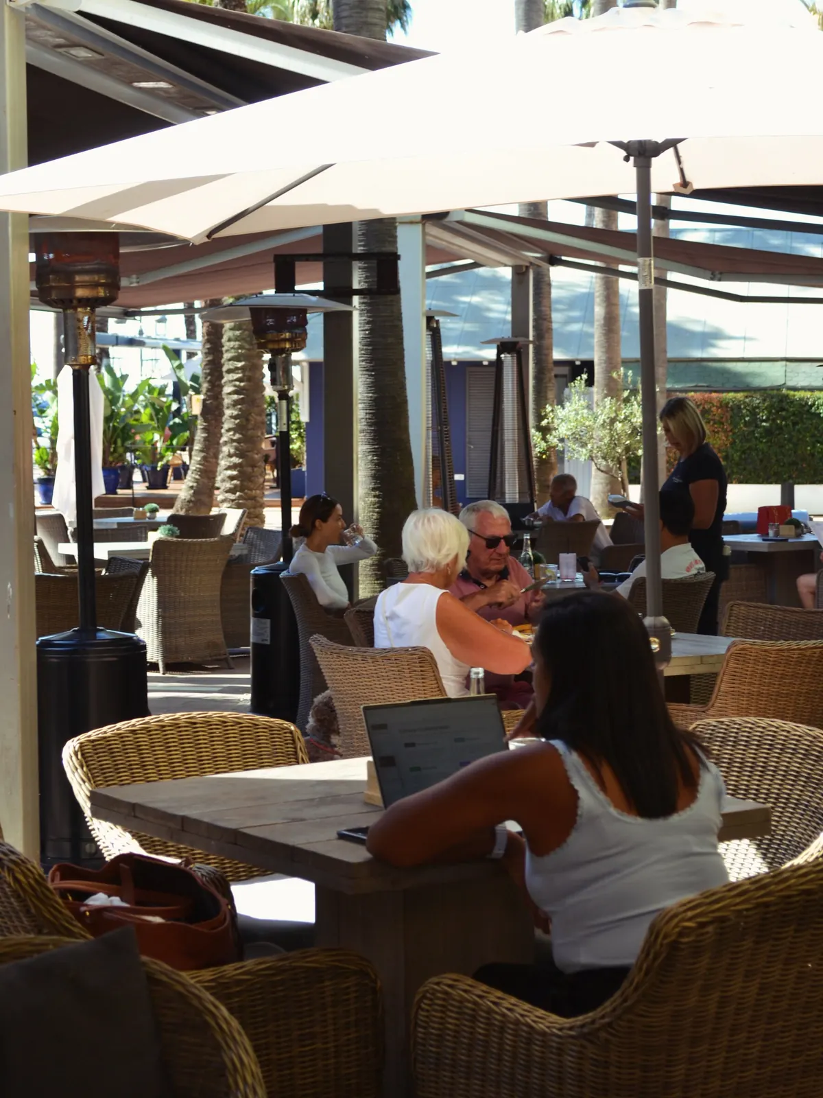 Guests on the terrace with the port behind