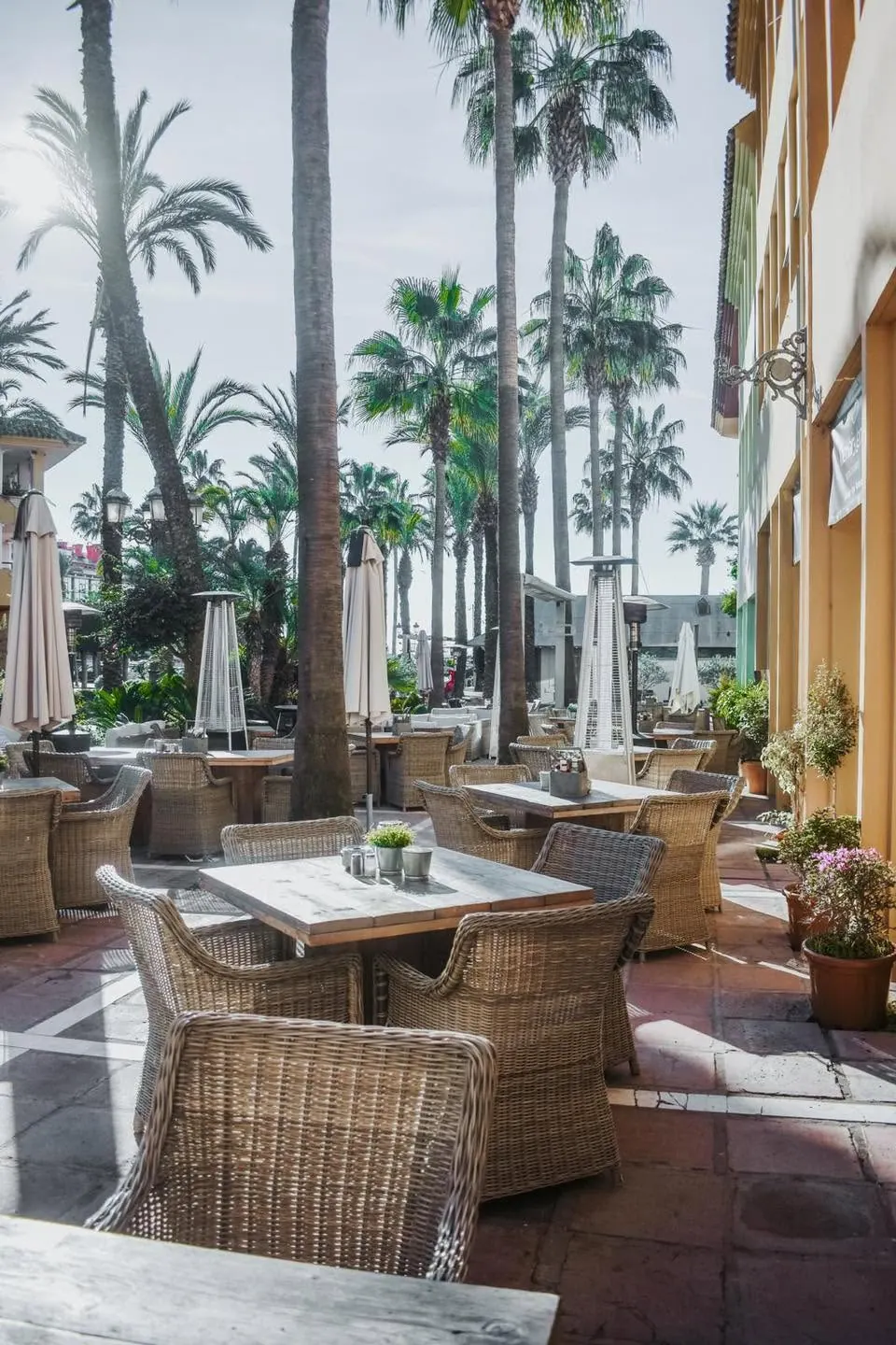 Wicker chairs and tables under the palms on the terrace